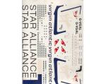 Decalque Avi�o Virgin Star Alliance